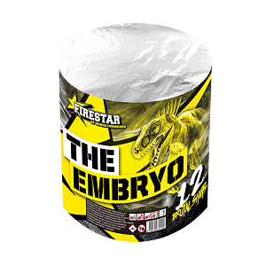 The Embryo 12sh (36)