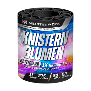 Knistern Blumen 11sh (10)