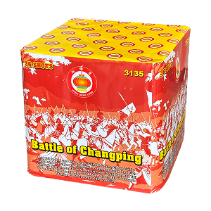 Battle of Changping 36sh (4)