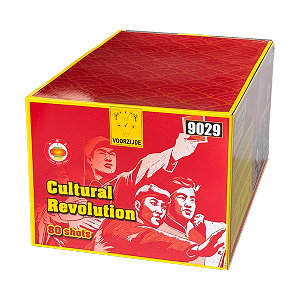 Cultural Revolution 80sh (2)
