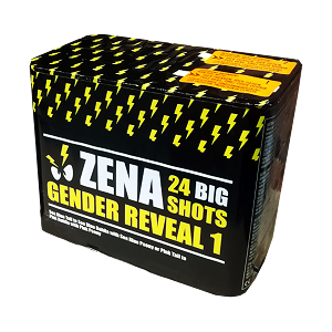 Zena Gender Reveal 1 24sh (8)