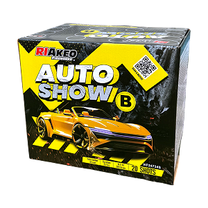 Auto Show B 20sh (4)