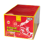 Cultural Revolution 80sh (2)